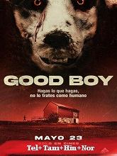 Good Boy (2023) HDRip Telugu Dubbed Full Movie Watch Online Free Download - TodayPk